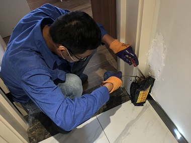 丹灶白蚁防治站冬季是灭白蚁的最好时机