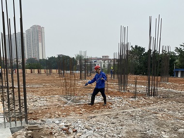 罗村专业灭白蚁机构地基防白蚁该怎么做才靠谱？